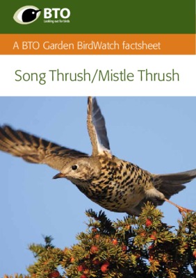 birdwatch Book