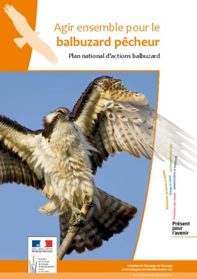 balbuzard Book