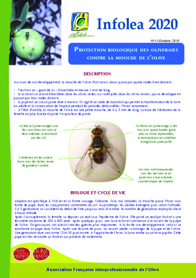 la pupe Book