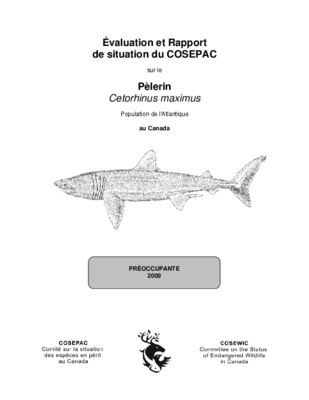 cetorhinus Book