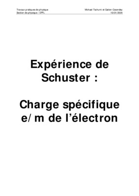 experience de schuster Book