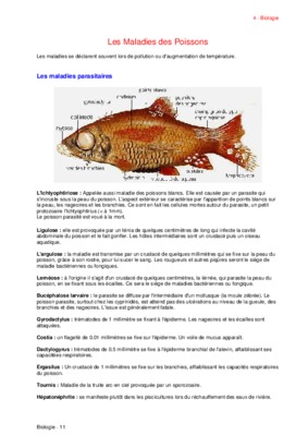maladies des poissons d_aquarium Book
