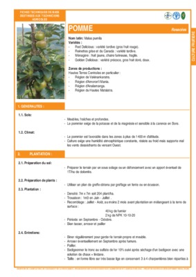 la flore adventices des rosacees Book