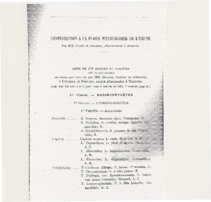 pluteus Book