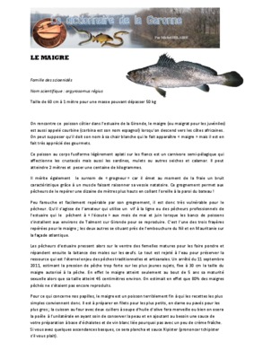 maigre Book