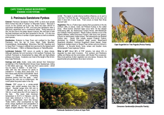 fynbos Book