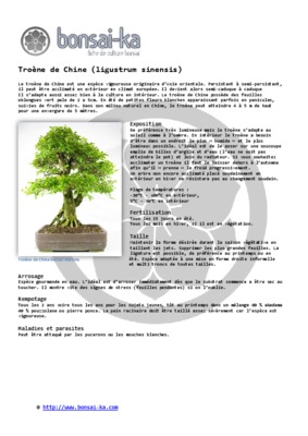 ligustrum Book