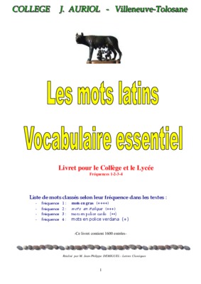 essentiel vocabulaire bac Book