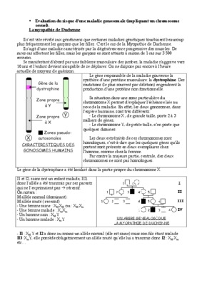 gonosomale Book