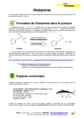 injection paroie mince Book