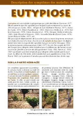 bouture herbacee de l_olivier Book