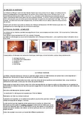 meleze Book