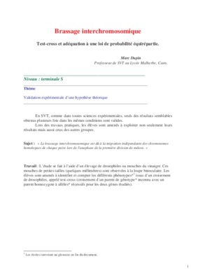 chez les drosophiles Book