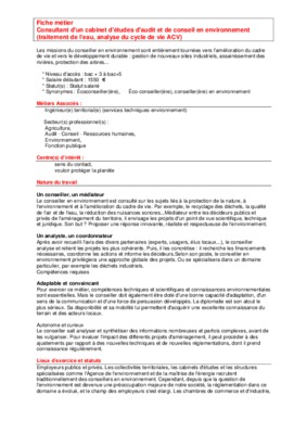 cabinet consultant Book