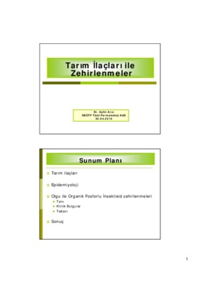 tarim yarkand Book