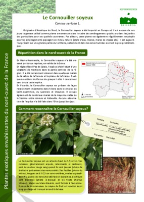soyeux Book