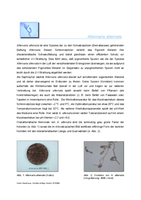 alternaria alternata Book