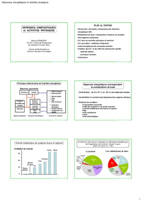 depenses energetiques a l_effort chez le cheval Book