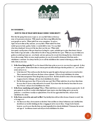 fawn hooded Book