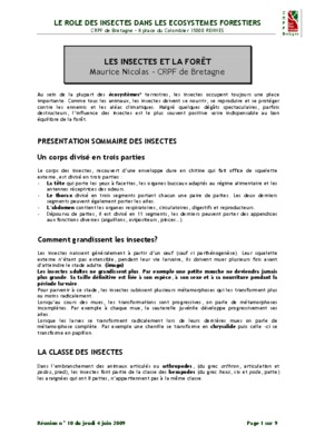 dictee les insectes de la foret Book