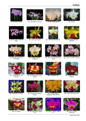 cattleya Book