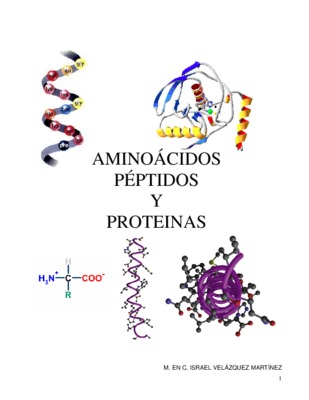 aminoacidos Book