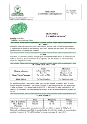 probleme choux Book