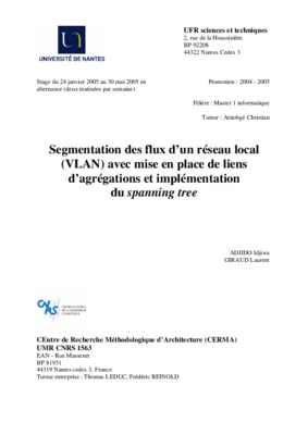 mise en place d_un reseau local informatique avec connexion internet Book