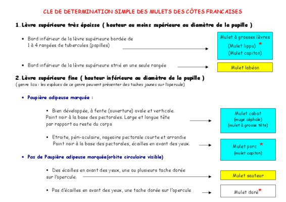 mulets Book
