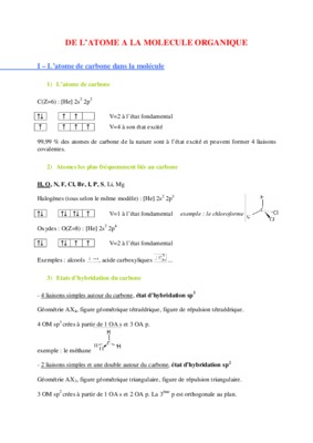 s1 orga eco Book