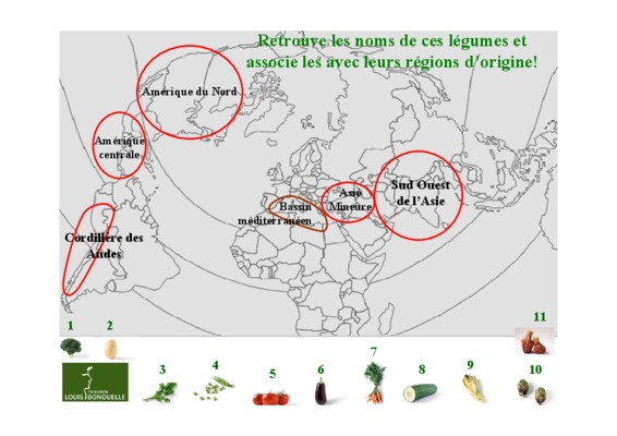 noms des categories de legumes Book