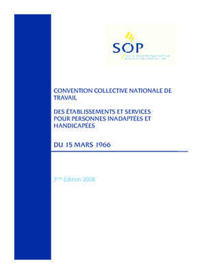 ccn66 Book