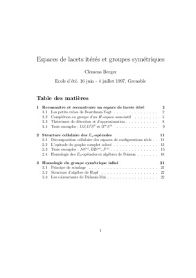 lacets amour Book