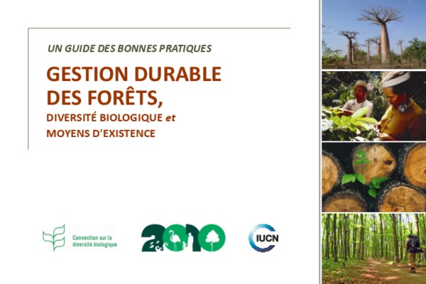 le develloppement durable au point de vue energitique Book
