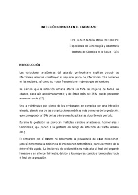 embarazo Book