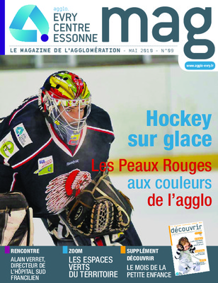 pubalgie en hockey sur glace Book