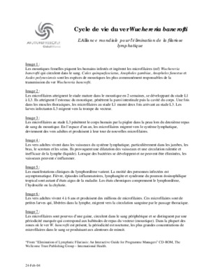 wuchereria bancrofti Book
