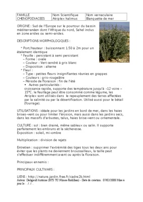 atriplex Book