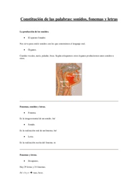 sonidos de korotkoff Book