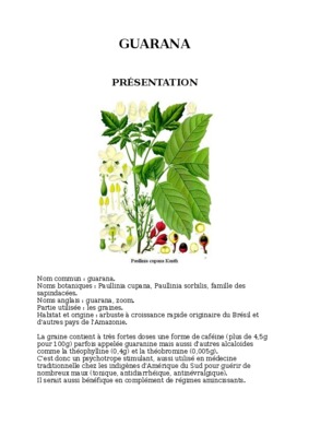guarana power up Book