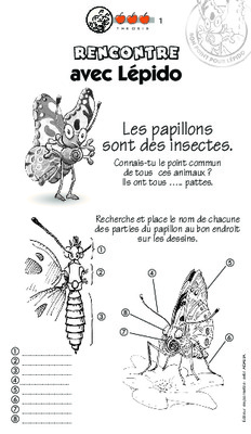 mots croisees abeille Book