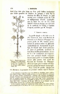 renfermant Book