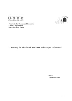boundary conditions for expectancy theory predictions of work motivation and job performance Book
