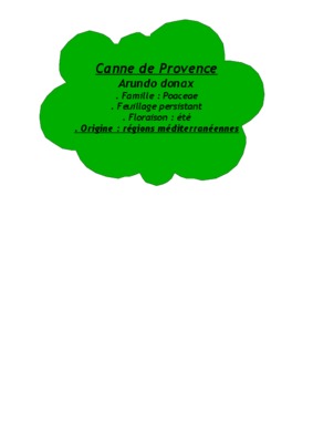 canne de provence Book