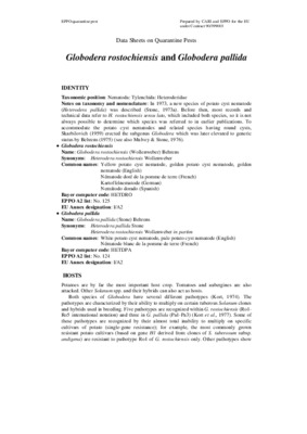 pallida Book