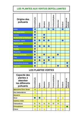 plantes depolluantes Book
