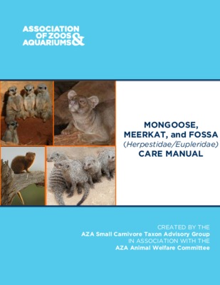 mongoose Book