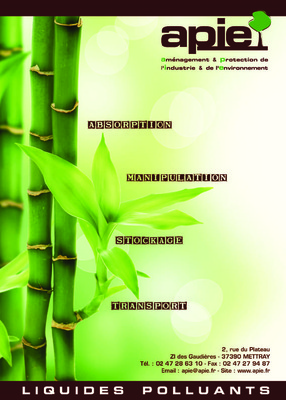 rapport apie Book