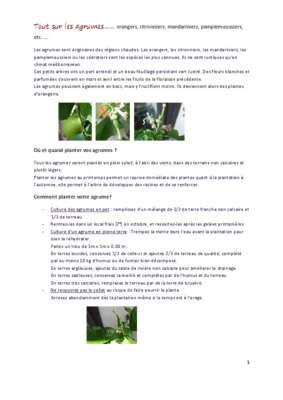 citronniers Book