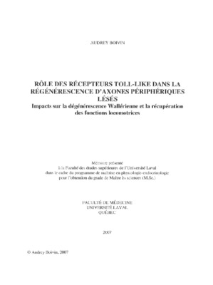 regenerescence Book